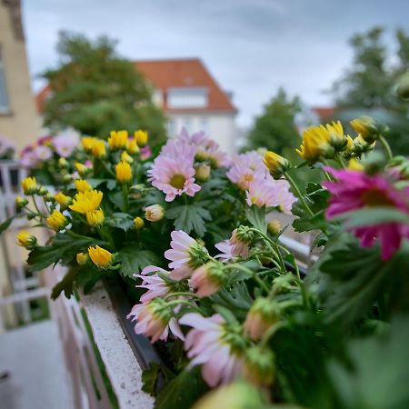 Appartement Otto I - Erfurt Zentrum Luaran gambar